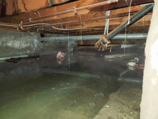 Best Local water damage restoration  in Clearfield, PA
