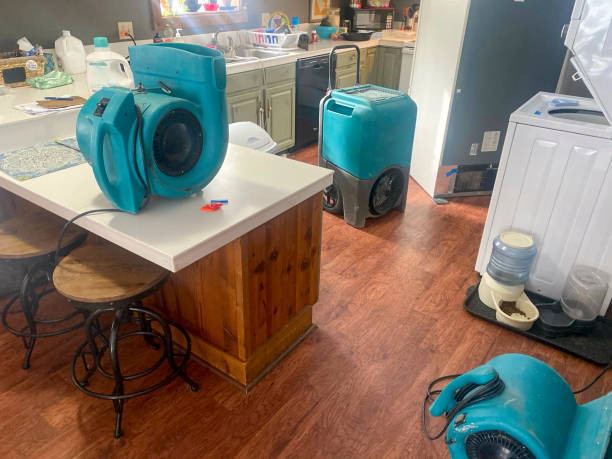Best Basement water damage restoration  in Clearfield, PA