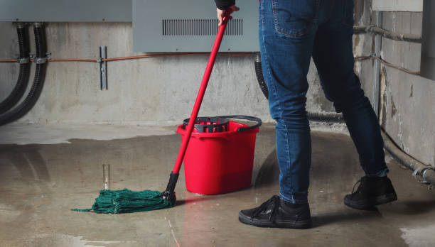 Best Water damage contractors near me  in Clearfield, PA