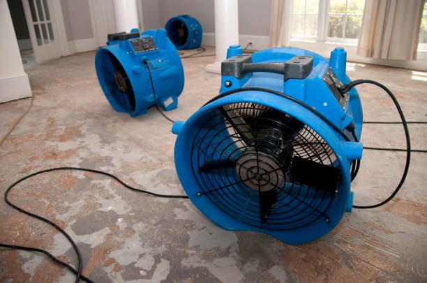 Best Flood damage cleanup  in Clearfield, PA