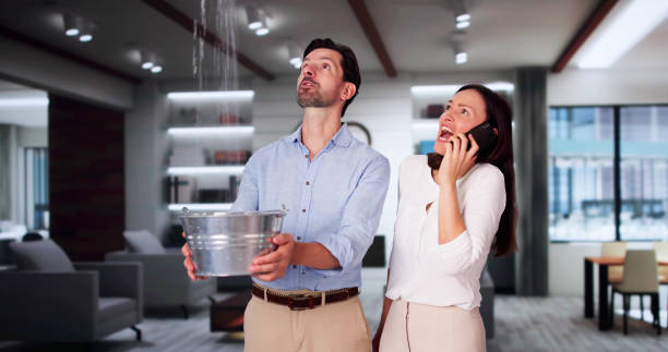 Best Water damage cleanup near me  in Clearfield, PA